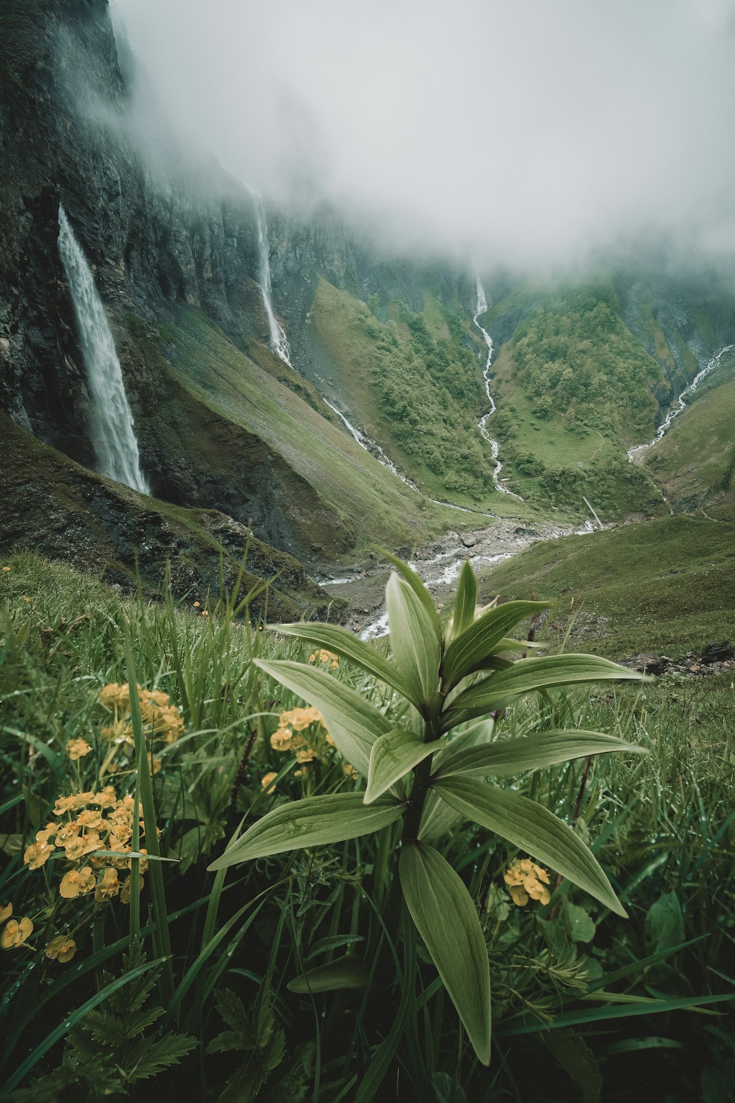 The Best Guided Treks Along Peru’s Inca Trails